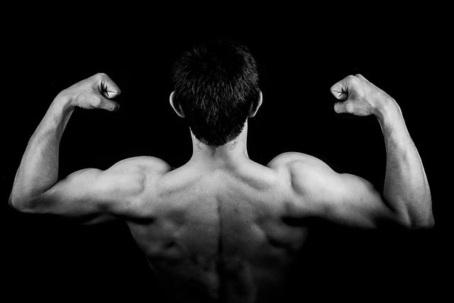 Muscle Mysteries: Your Body’s Blueprint for Strength