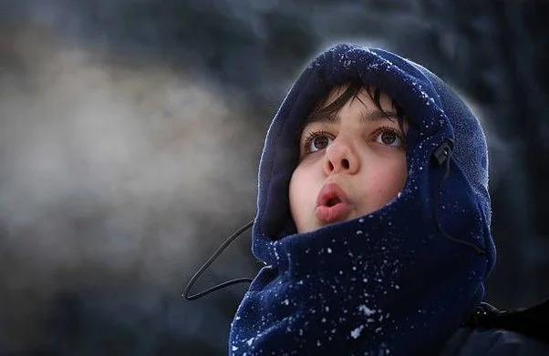 Why Does Frost Appear on Cold Surfaces? Let’s Uncover the Chilly Science!